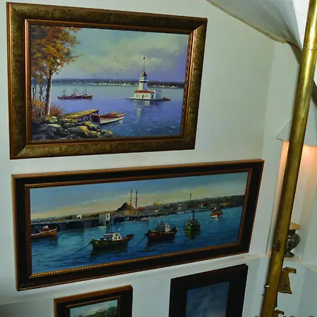 Ortakoy Pasha Konagi Hotel Provincia di Istanbul