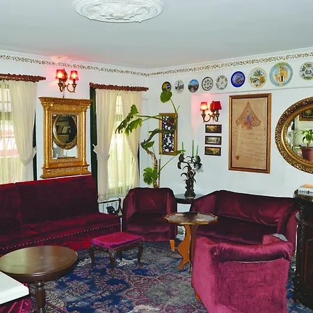 فندق Ortakoy Pasha Konagi 2*